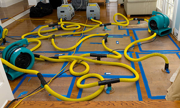 Professional Burst Pipe Water Damage technician working in Clermont, GA